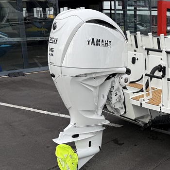 Yamaha 250