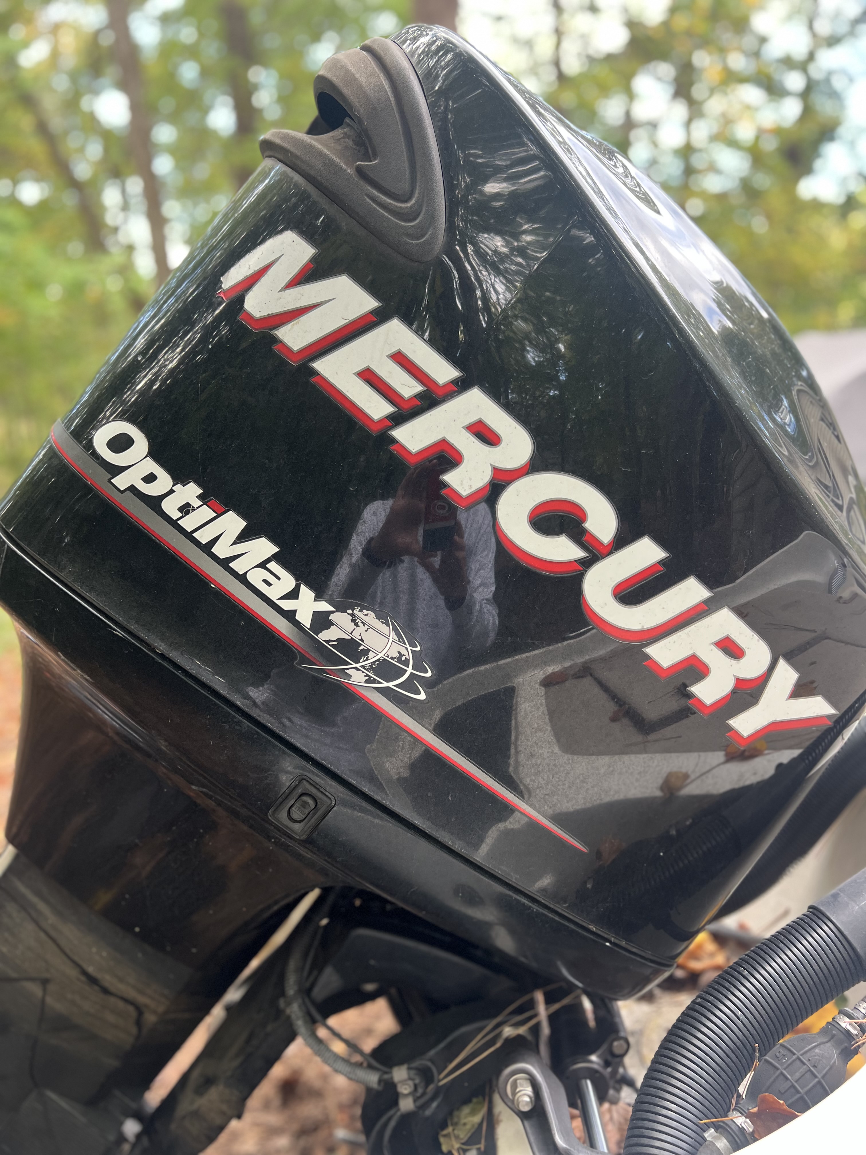 2012 Mercury Marine Optimax